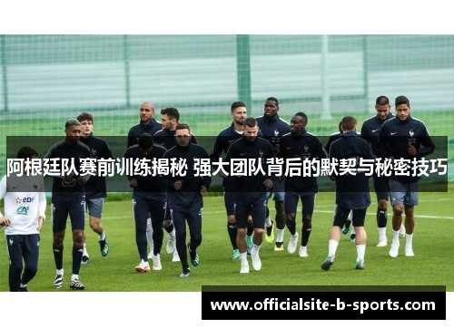 阿根廷队赛前训练揭秘 强大团队背后的默契与秘密技巧