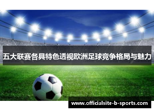 五大联赛各具特色透视欧洲足球竞争格局与魅力 五大联赛各具特色透视欧洲足球竞争格局与魅力