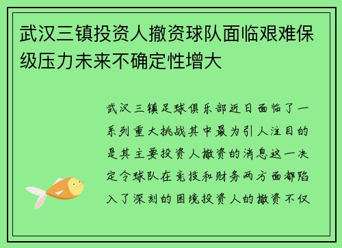 武汉三镇投资人撤资球队面临艰难保级压力未来不确定性增大